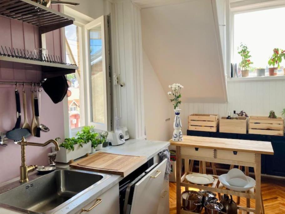 Big, Bright Apartment In The Center Of Zagreb Exteriör bild