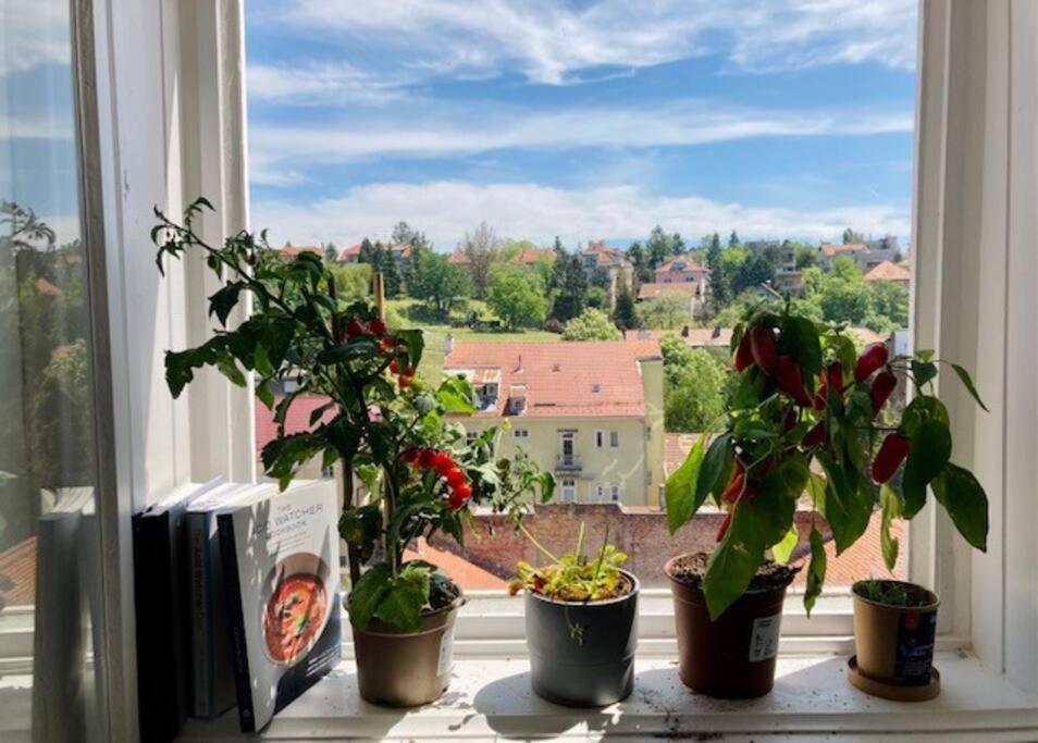Big, Bright Apartment In The Center Of Zagreb Exteriör bild