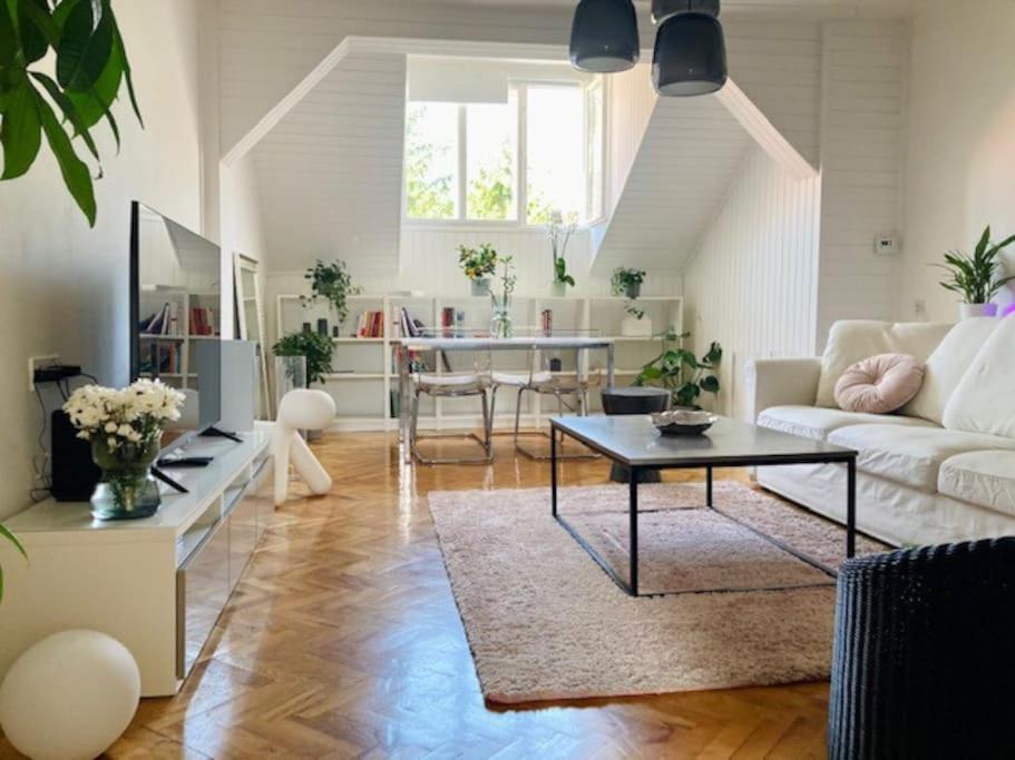 Big, Bright Apartment In The Center Of Zagreb Exteriör bild