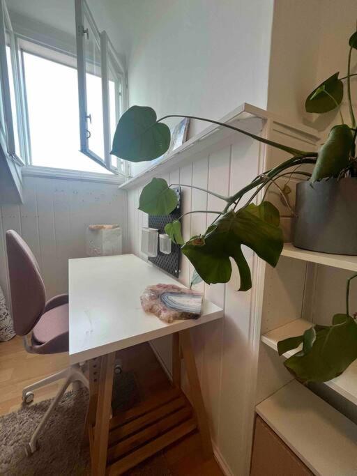 Big, Bright Apartment In The Center Of Zagreb Exteriör bild